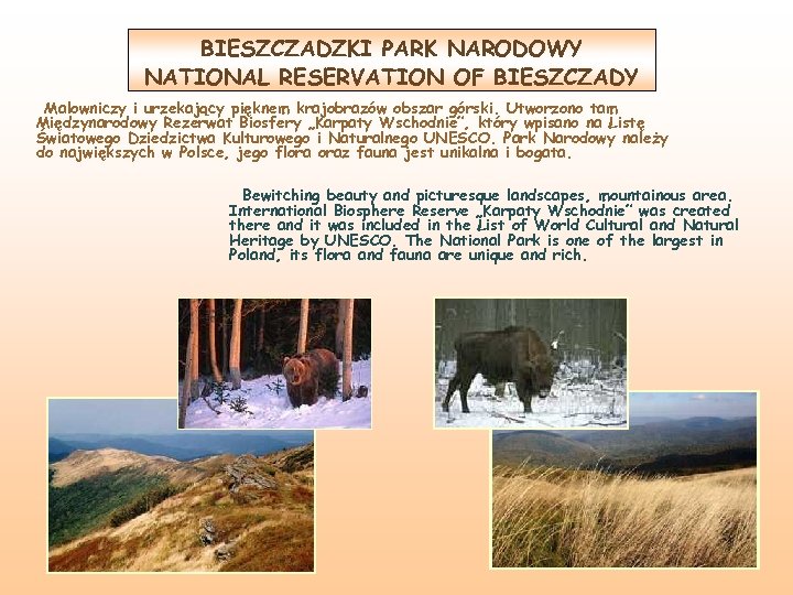 BIESZCZADZKI PARK NARODOWY NATIONAL RESERVATION OF BIESZCZADY Malowniczy i urzekający pięknem krajobrazów obszar górski.