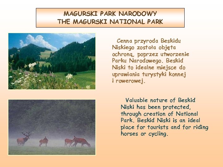 MAGURSKI PARK NARODOWY THE MAGURSKI NATIONAL PARK Cenna przyroda Beskidu Niskiego została objęta ochroną,