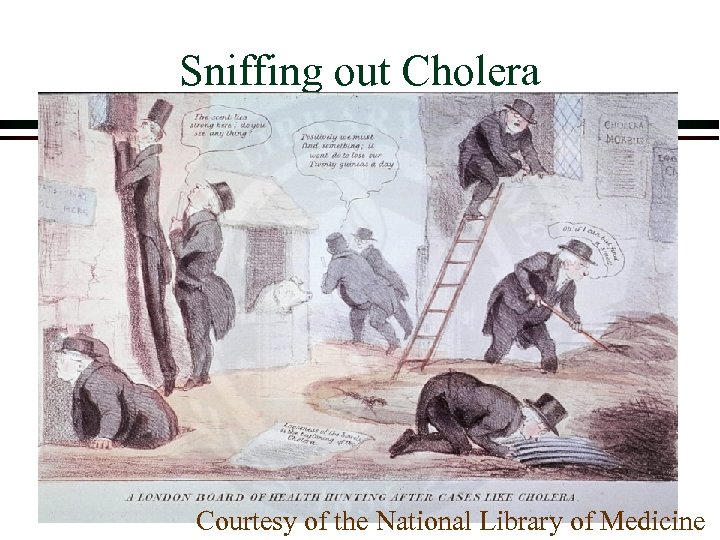 Sniffing out Cholera Courtesy of the National Library of Medicine 