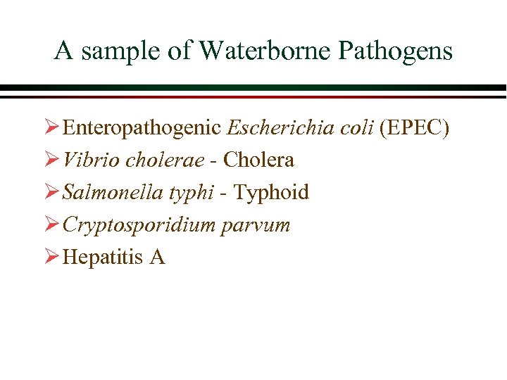 A sample of Waterborne Pathogens Ø Enteropathogenic Escherichia coli (EPEC) Ø Vibrio cholerae -