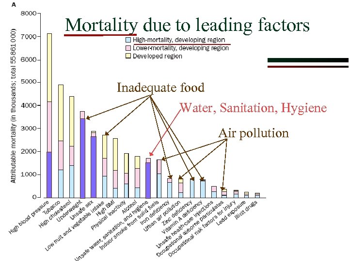 Mortality due to leading factors Inadequate food Water, Sanitation, Hygiene Air pollution 