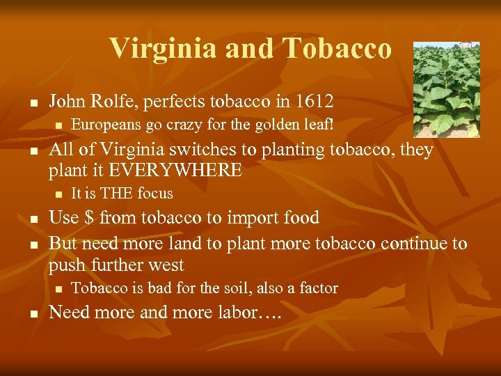 Virginia and Tobacco n John Rolfe, perfects tobacco in 1612 n n All of