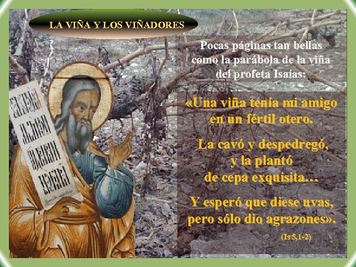 LA VIÑA Y LOS VIÑADORES Pocas páginas tan bellas como la parábola de la