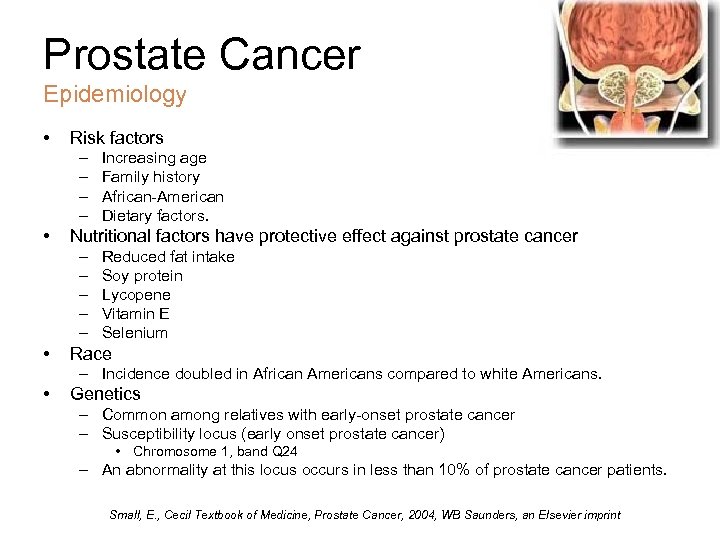 Prostate Cancer Epidemiology • Risk factors – – • Nutritional factors have protective effect