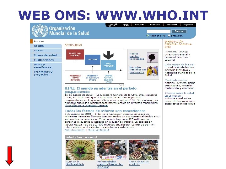 WEB OMS: WWW. WHO. INT 