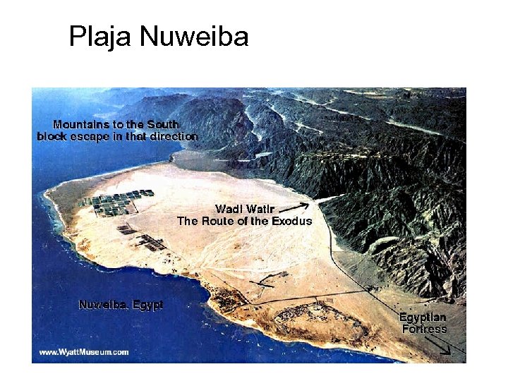 Plaja Nuweiba 
