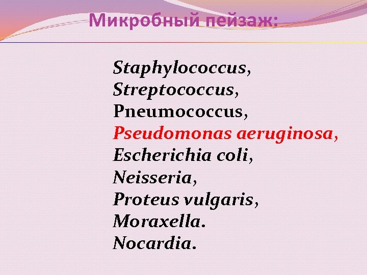 Микробный пейзаж: Staphylococcus, Streptococcus, Pneumococcus, Pseudomonas aeruginosa, Escherichia coli, Neisseria, Proteus vulgaris, Moraxella. Nocardia.