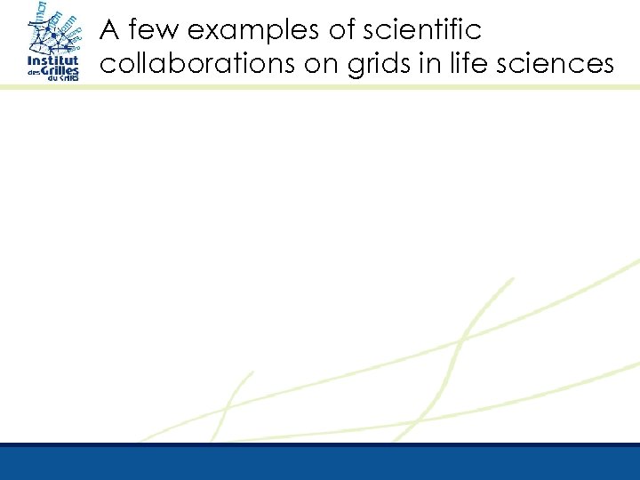 A few examples of scientific collaborations on grids in life sciences 
