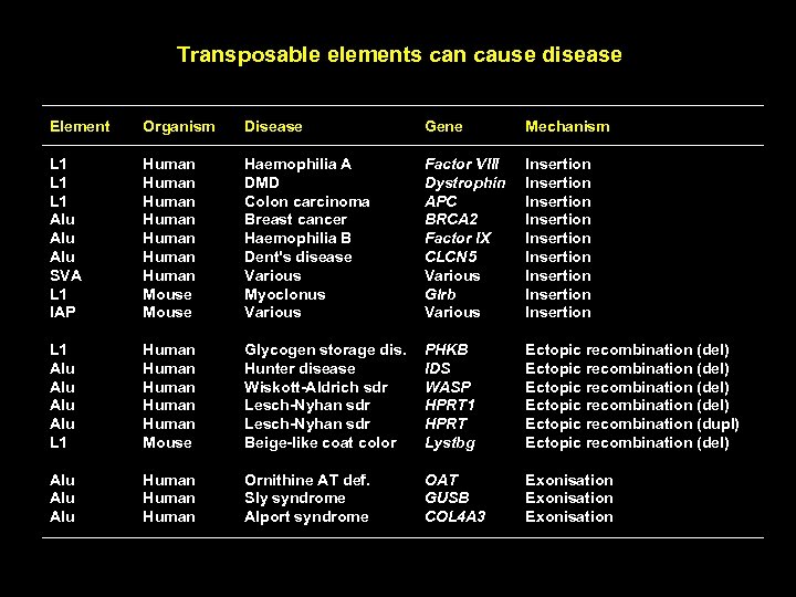 Transposable elements can cause disease Element Organism Disease Gene Mechanism L 1 L 1