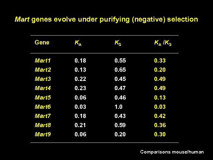 Mart genes evolve under purifying (negative) selection Gene KA KS KA /KS Mart 1