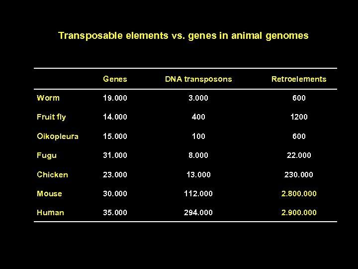 Transposable elements vs. genes in animal genomes Genes DNA transposons Retroelements Worm 19. 000
