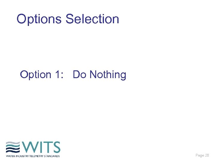 Options Selection Option 1: Do Nothing Page 20 