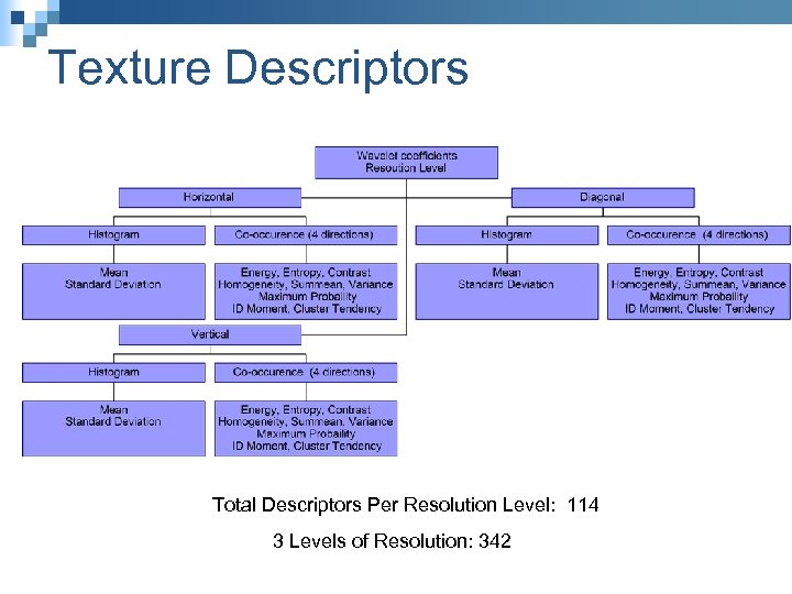 Texture Descriptors Total Descriptors Per Resolution Level: 114 3 Levels of Resolution: 342 