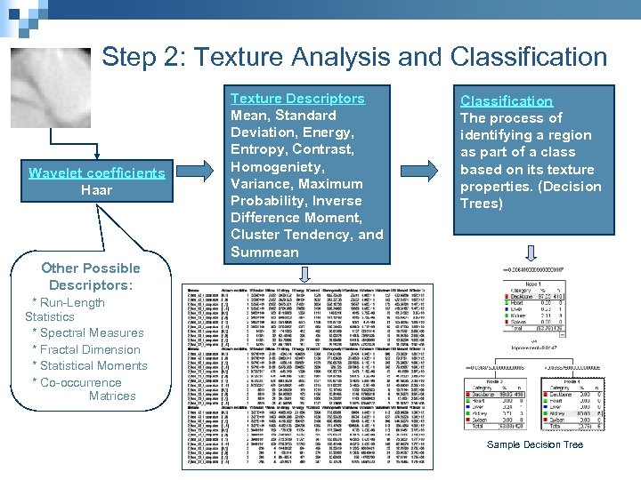 Step 2: Texture Analysis and Classification Wavelet coefficients Haar Texture Descriptors Mean, Standard Deviation,