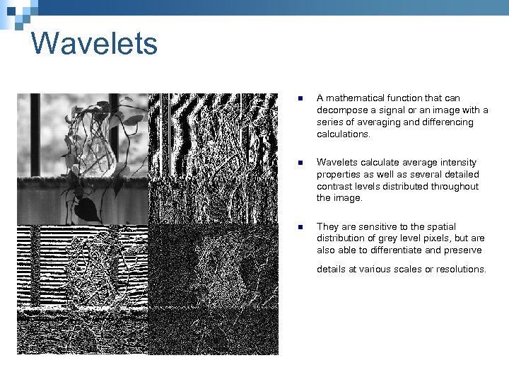 Wavelets n A mathematical function that can decompose a signal or an image with