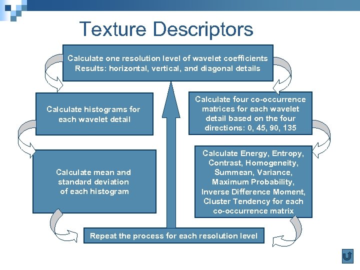 Texture Descriptors Calculate one resolution level of wavelet coefficients Results: horizontal, vertical, and diagonal