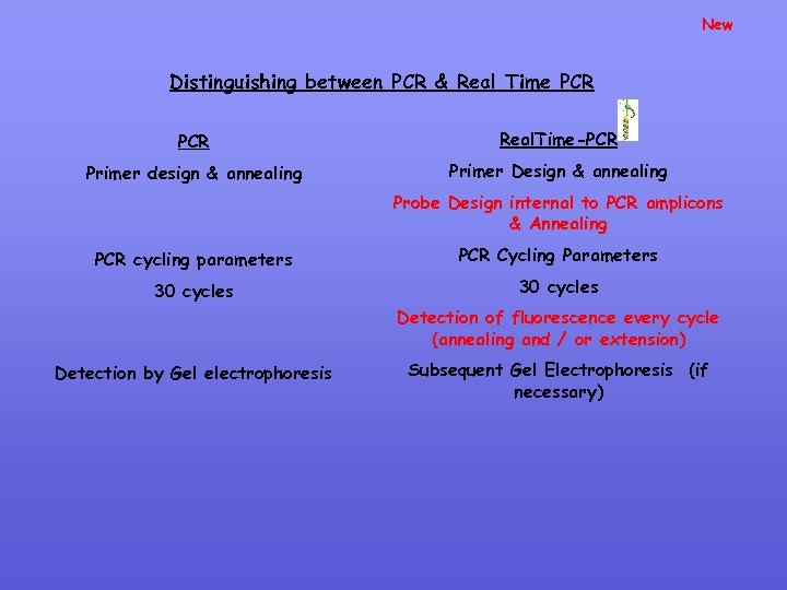 New Distinguishing between PCR & Real Time PCR Real. Time-PCR Primer design & annealing