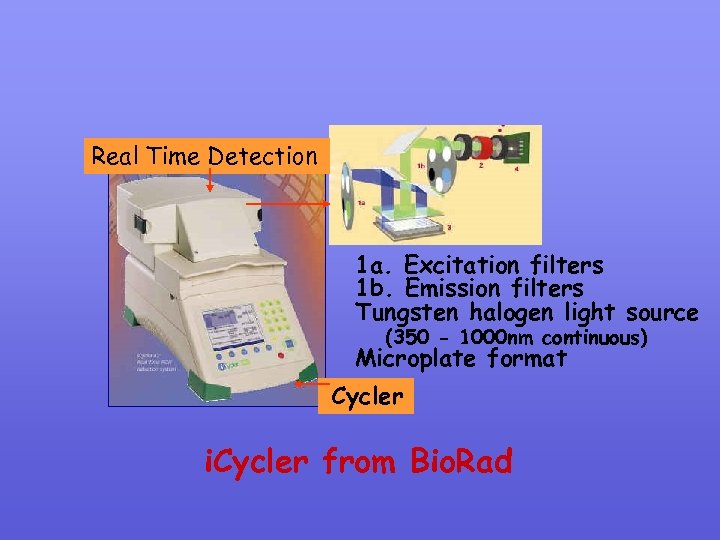 Real Time Detection 1 a. Excitation filters 1 b. Emission filters Tungsten halogen light