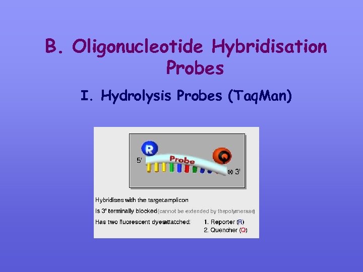 B. Oligonucleotide Hybridisation Probes I. Hydrolysis Probes (Taq. Man) 