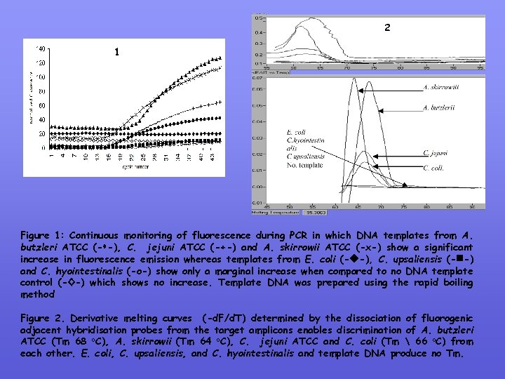 2 1 Figure 1: Continuous monitoring of fluorescence during PCR in which DNA templates