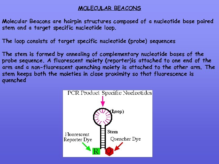 MOLECULAR BEACONS Molecular Beacons are hairpin structures composed of a nucleotide base paired stem