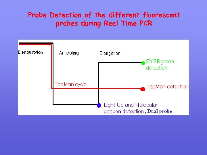 Probe Detection of the different fluorescent probes during Real Time PCR , Dual probe