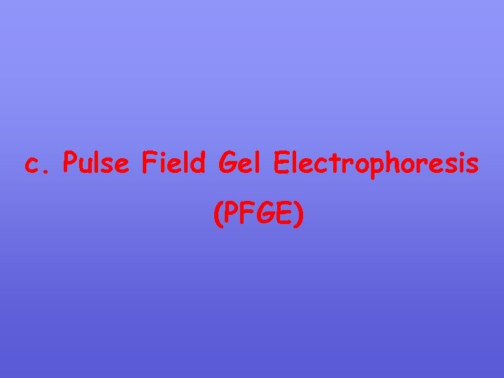 c. Pulse Field Gel Electrophoresis (PFGE) 