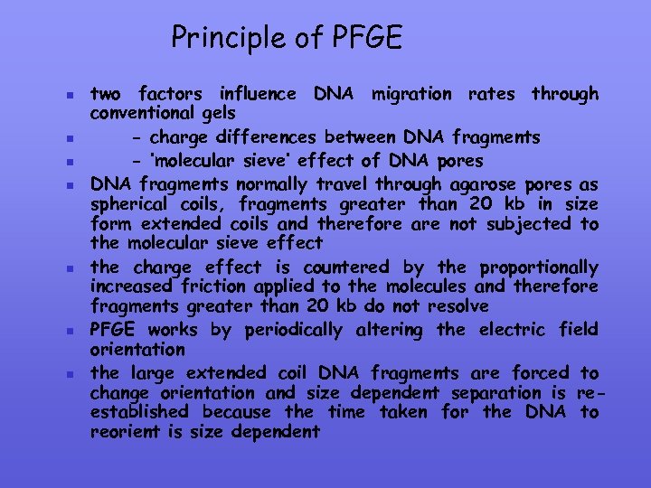Principle of PFGE n n n n two factors influence DNA migration rates through