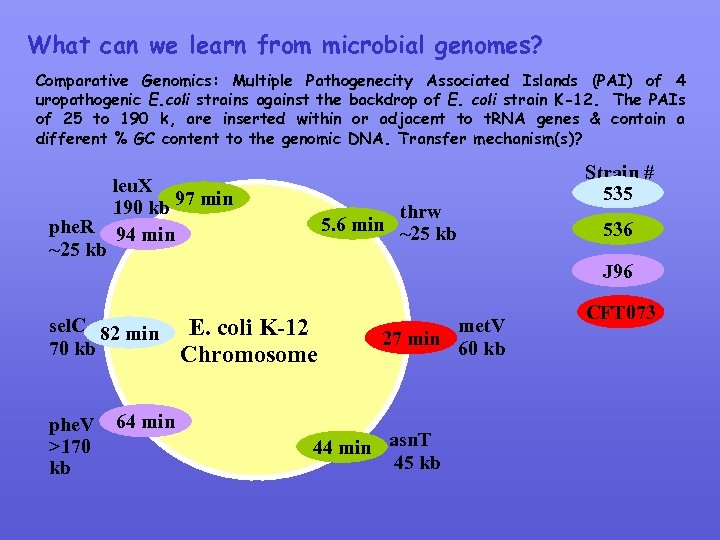 What can we learn from microbial genomes? Comparative Genomics: Multiple Pathogenecity Associated Islands (PAI)