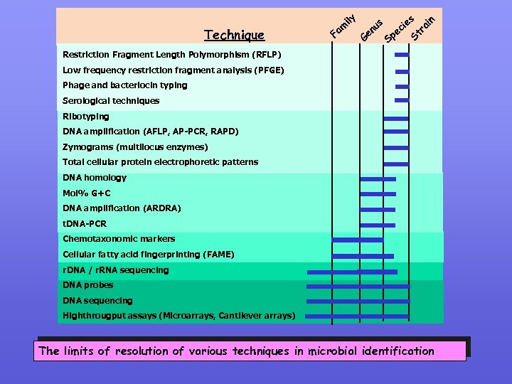 F G es Sp i ec n s u en St ra i Technique