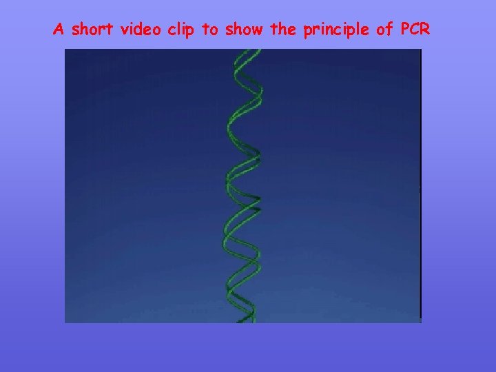 A short video clip to show the principle of PCR 