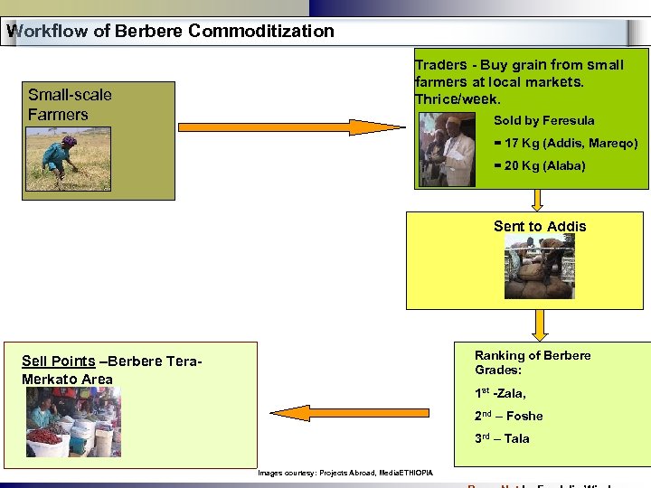 Workflow of Berbere Commoditization Small-scale Farmers Traders - Buy grain from small farmers at