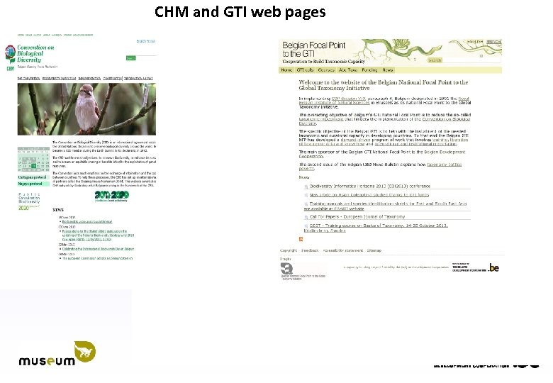 CHM and GTI web pages 