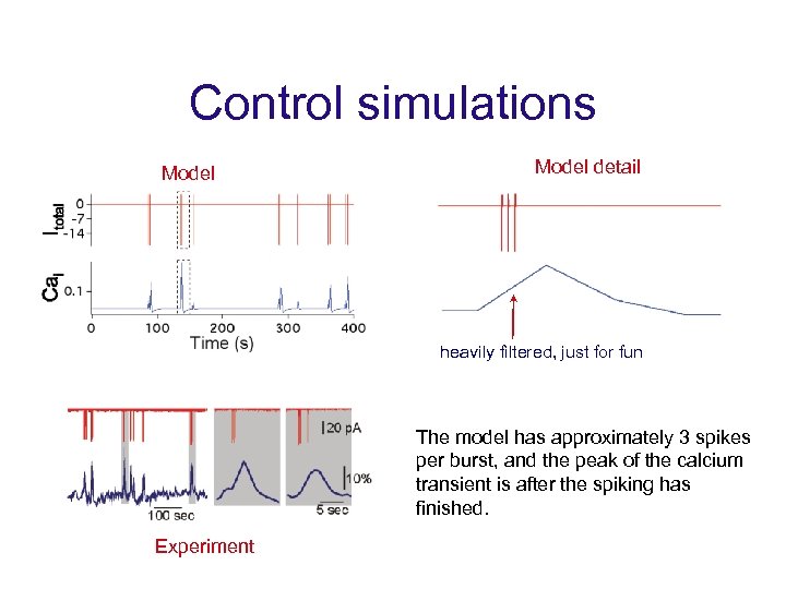 Control simulations Model detail heavily filtered, just for fun The model has approximately 3