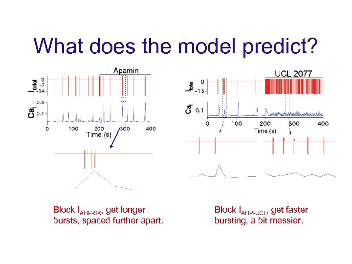 What does the model predict? Block IAHP-SK, get longer bursts, spaced further apart. Block