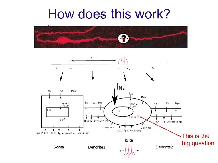 How does this work? This is the big question 