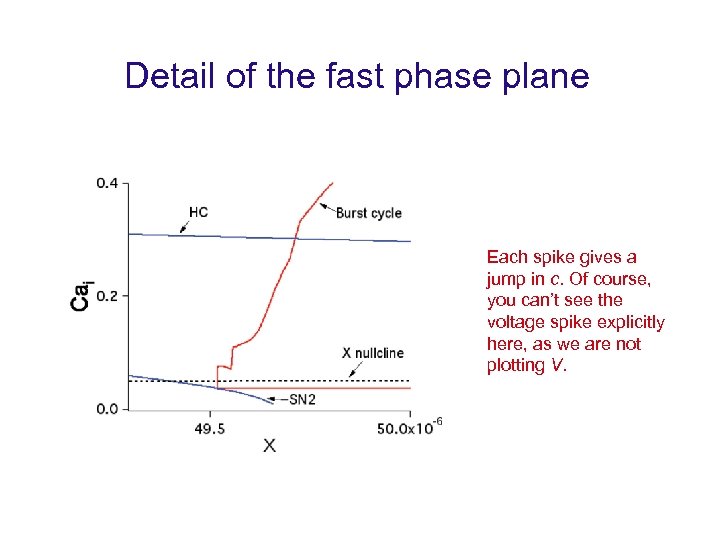 Detail of the fast phase plane Each spike gives a jump in c. Of