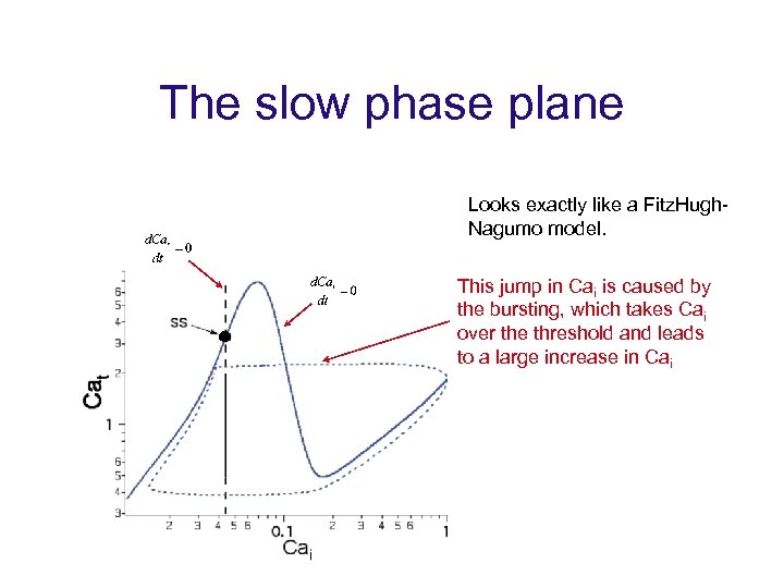 The slow phase plane Looks exactly like a Fitz. Hugh. Nagumo model. This jump