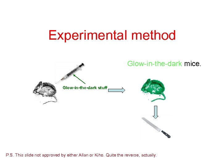 Experimental method Glow-in-the-dark mice. Glow-in-the-dark stuff P. S. This slide not approved by either