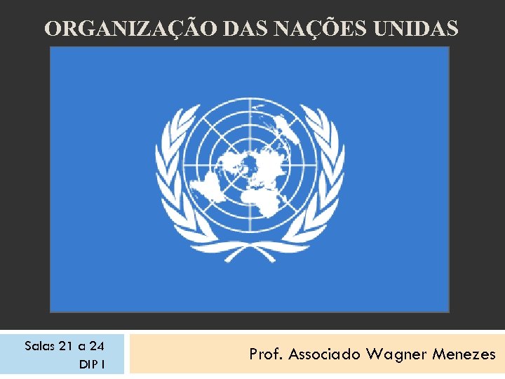 ORGANIZAÇÃO DAS NAÇÕES UNIDAS Salas 21 a 24 DIP I Prof. Associado Wagner Menezes