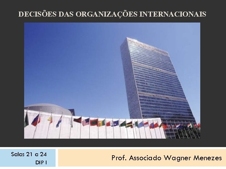 DECISÕES DAS ORGANIZAÇÕES INTERNACIONAIS Salas 21 a 24 DIP I Prof. Associado Wagner Menezes