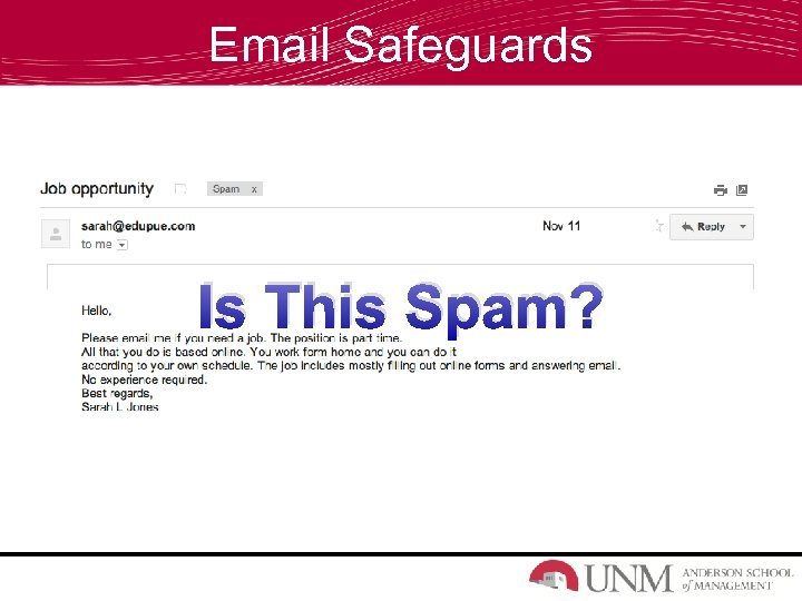 Email Safeguards Is This Spam? 