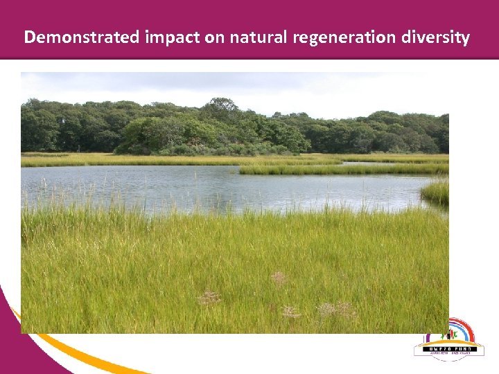 Demonstrated impact on natural regeneration diversity 