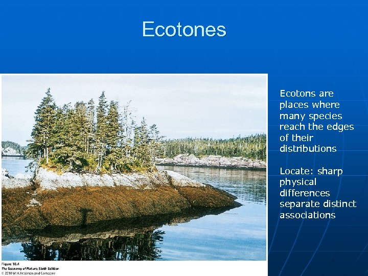 Ecotones Ecotons are places where many species reach the edges of their distributions Locate: