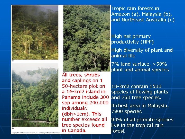 Tropic rain forests in Amazon (a), Malaysia (b), and Northeast Australia (c) High net
