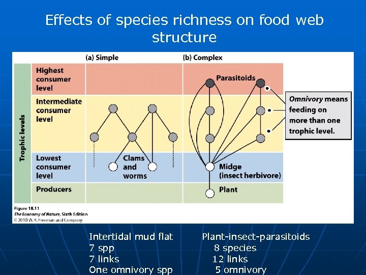 Effects of species richness on food web structure Intertidal mud flat 7 spp 7
