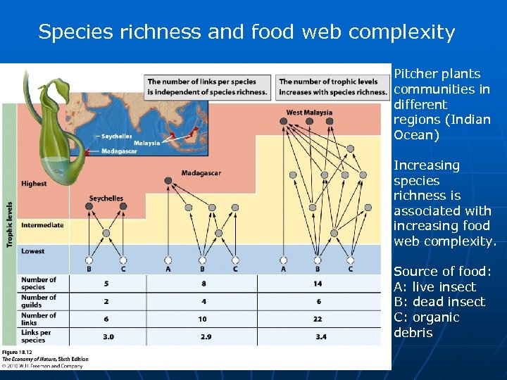 Species richness and food web complexity Pitcher plants communities in different regions (Indian Ocean)