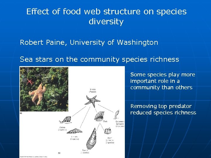 Effect of food web structure on species diversity Robert Paine, University of Washington Sea