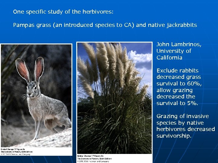 One specific study of the herbivores: Pampas grass (an introduced species to CA) and