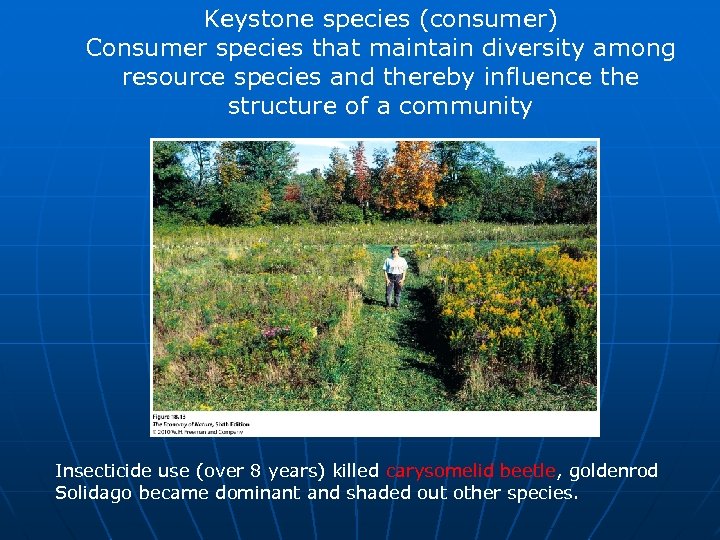 Keystone species (consumer) Consumer species that maintain diversity among resource species and thereby influence